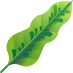 tropical-leaves1